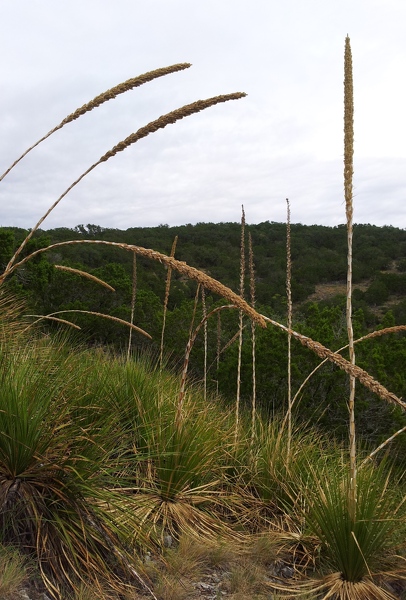 View from trail